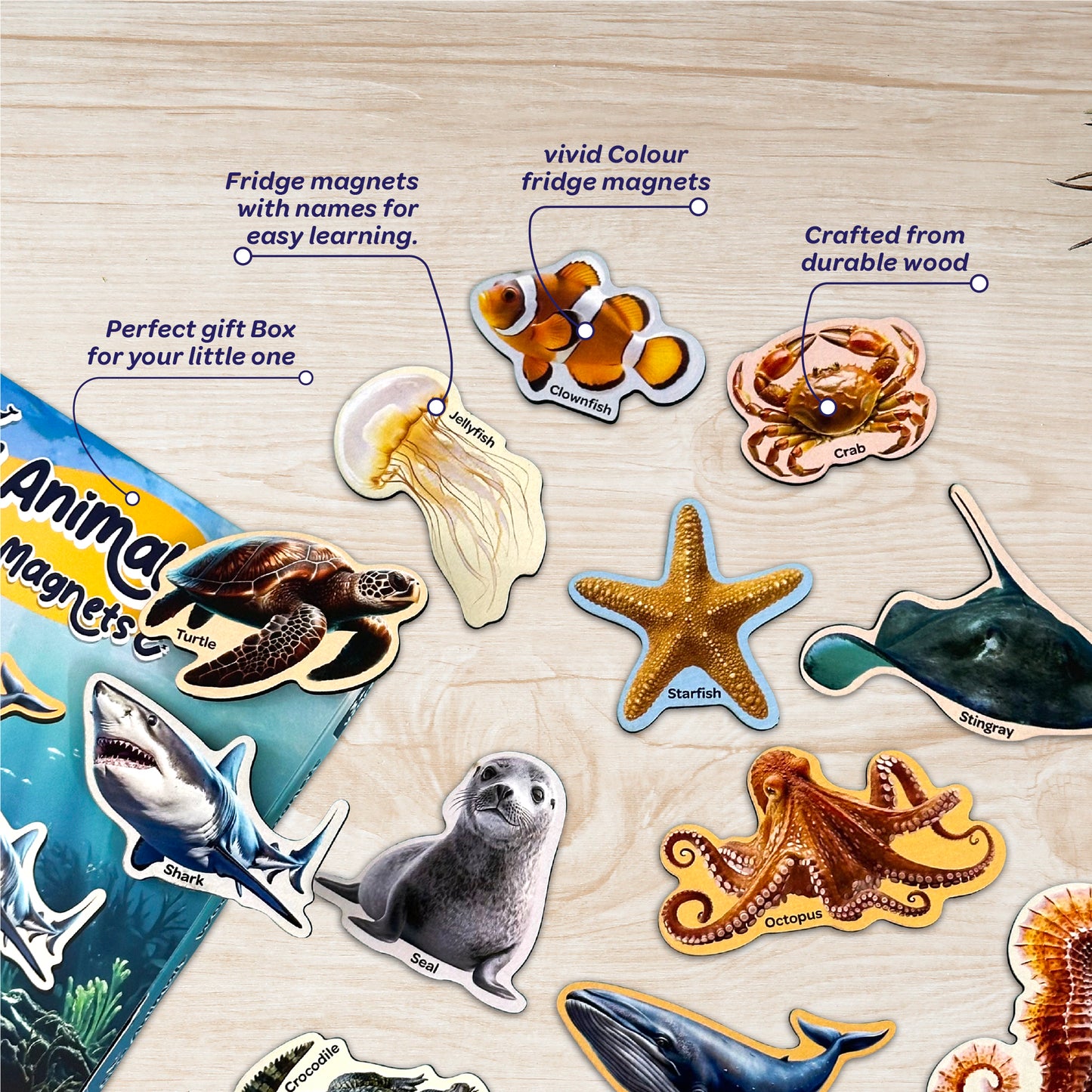 Sea Animals Fridge Magnets 3+ Years