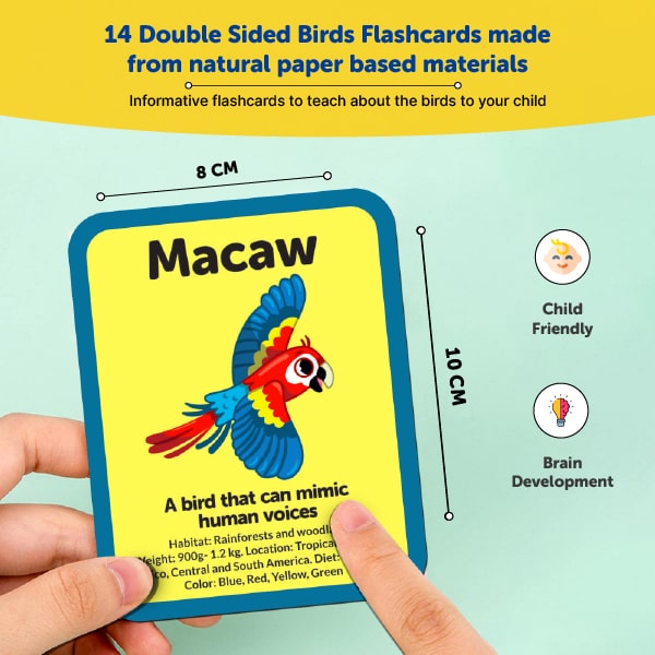 Birds Flash Knowledge Cards (3-5 Years) - Mini Leaves