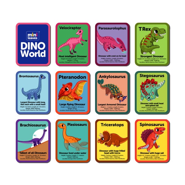 Dinosaurs Flash Knowledge Cards (3-5 Years) - Mini Leaves