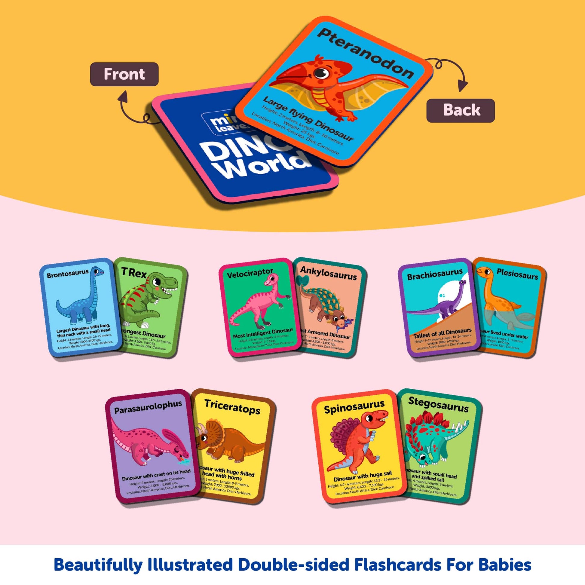 Dinosaurs Flash Knowledge Cards (3-5 Years) - Mini Leaves