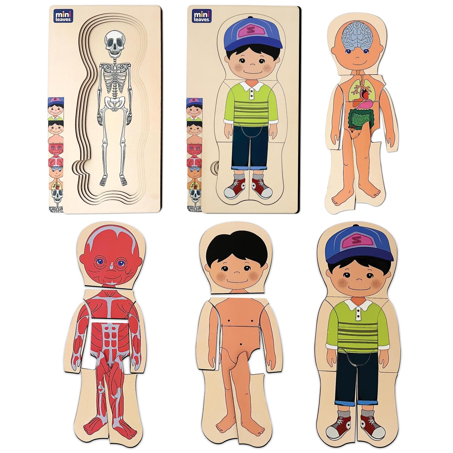 Mini Leaves™ Wooden Human Anatomy 3D Shapes Matching Puzzle – Multilayers Educational Toy for 3+ Years Kids