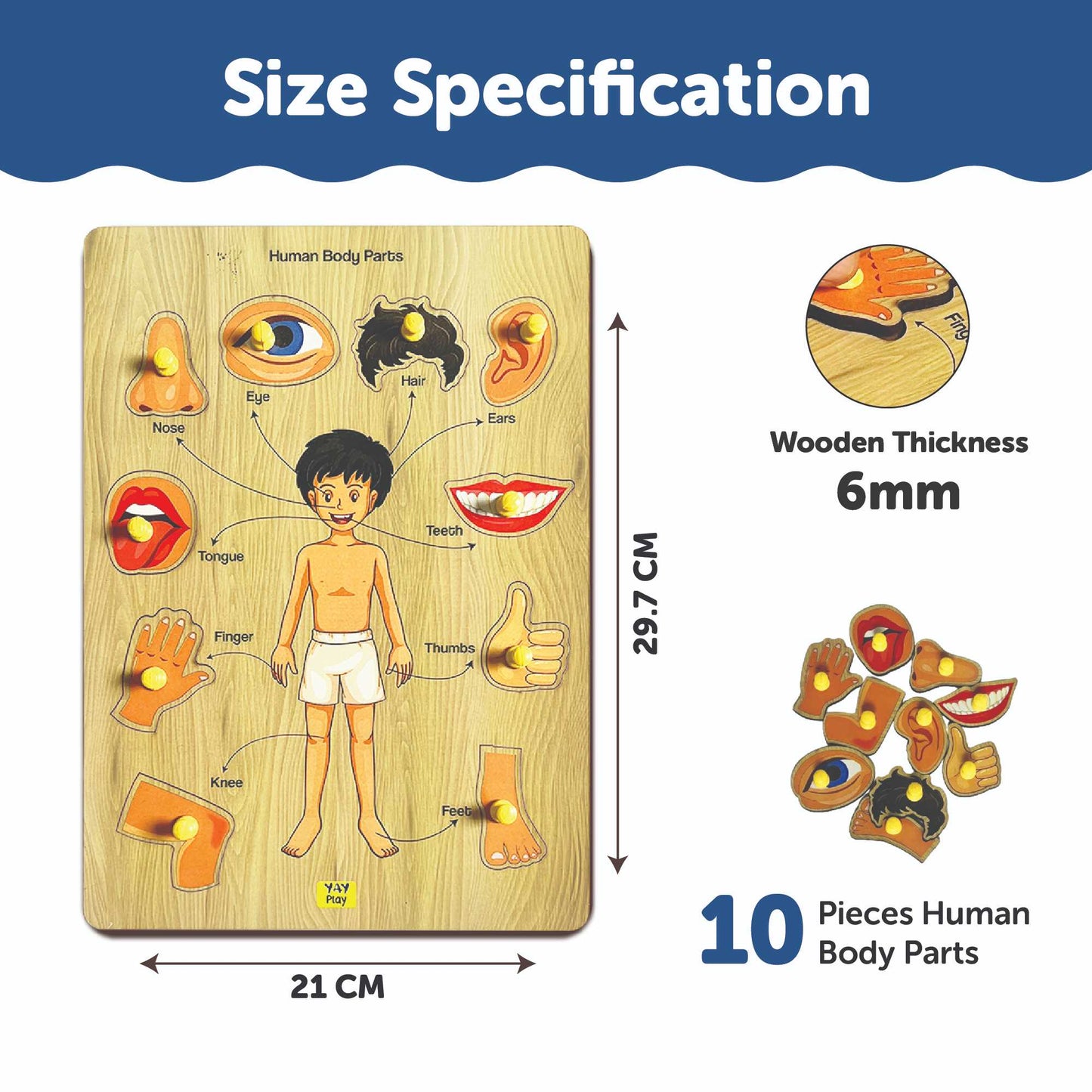 Wooden Human Body Part Knob and Pegged Puzzle for 2+ Years