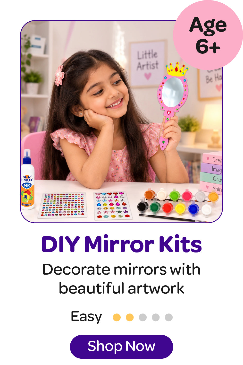 DIY Mirror Kits