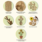 Creative Me” 3D Wooden Flower Pots DIY Art & Craft Paint Kit Set of 2