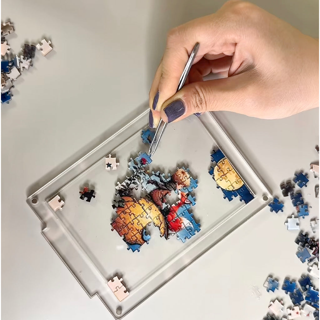 Acrylic Miniature Frame Puzzle | Magnetic Display Jigsaw Puzzle (140 Pieces) | Mini Leaves