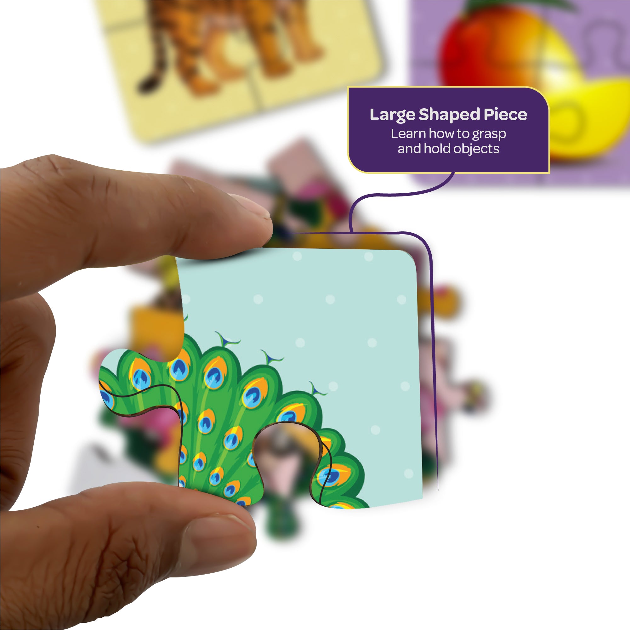 National Symbols 4 Pieces Wooden Puzzles 2+ Years