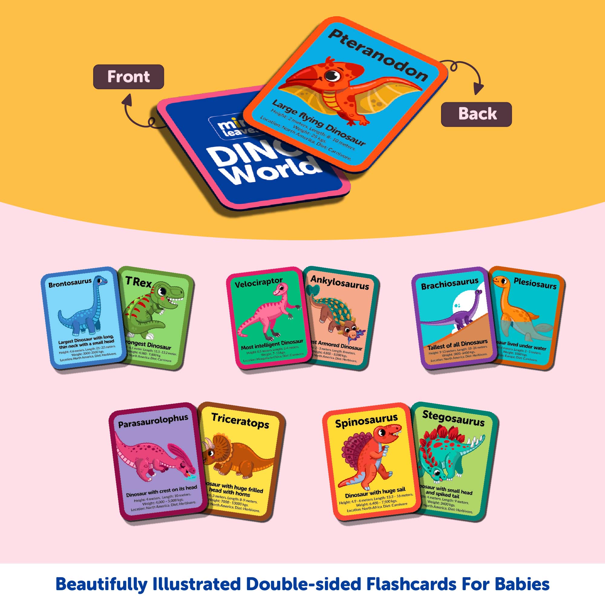 Dinosaurs Flash Knowledge Cards (3-5 Years) - Mini Leaves