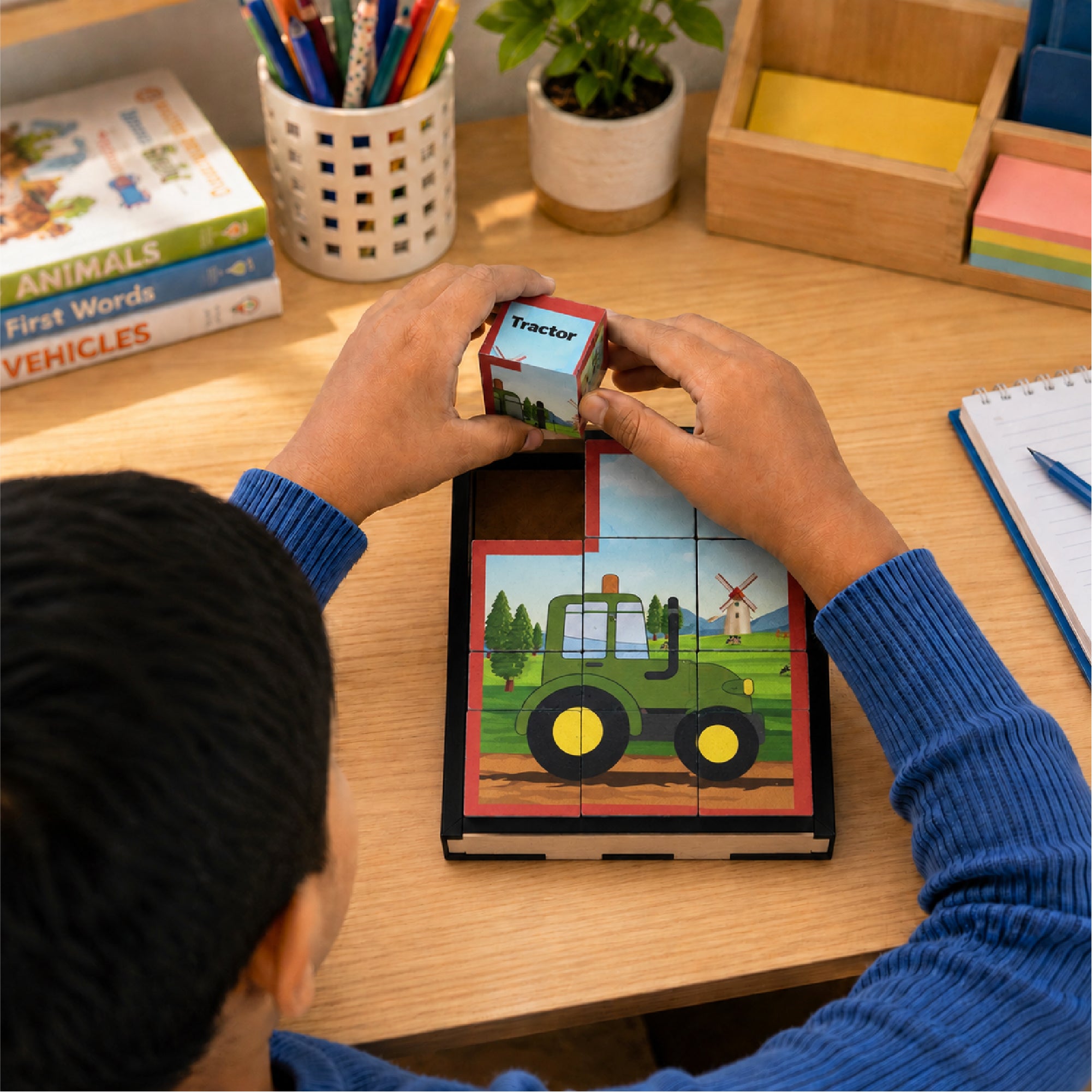 Cube Block Transport 6 Sides with 6 Animal 2+ Years