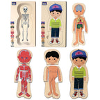 Mini Leaves™ Wooden Human Anatomy 3D Shapes Matching Puzzle – Multilayers Educational Toy for 3+ Years Kids