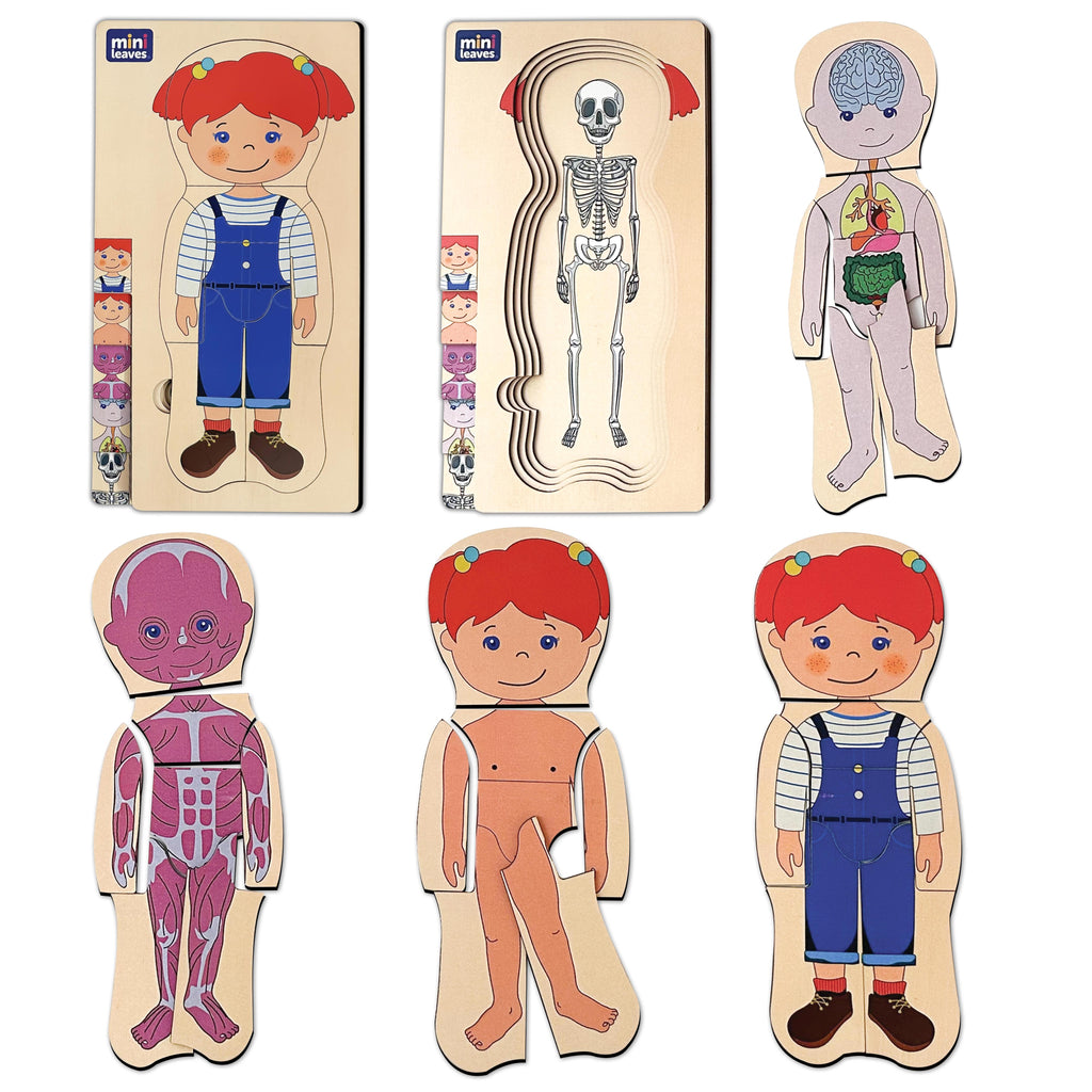 Mini Leaves™ Wooden Human Anatomy 3D Shapes Matching Puzzle – Multilayers Educational Toy for 3+ Years Kids