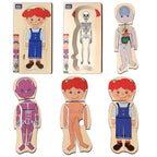 Mini Leaves™ Wooden Human Anatomy 3D Shapes Matching Puzzle – Multilayers Educational Toy for 3+ Years Kids