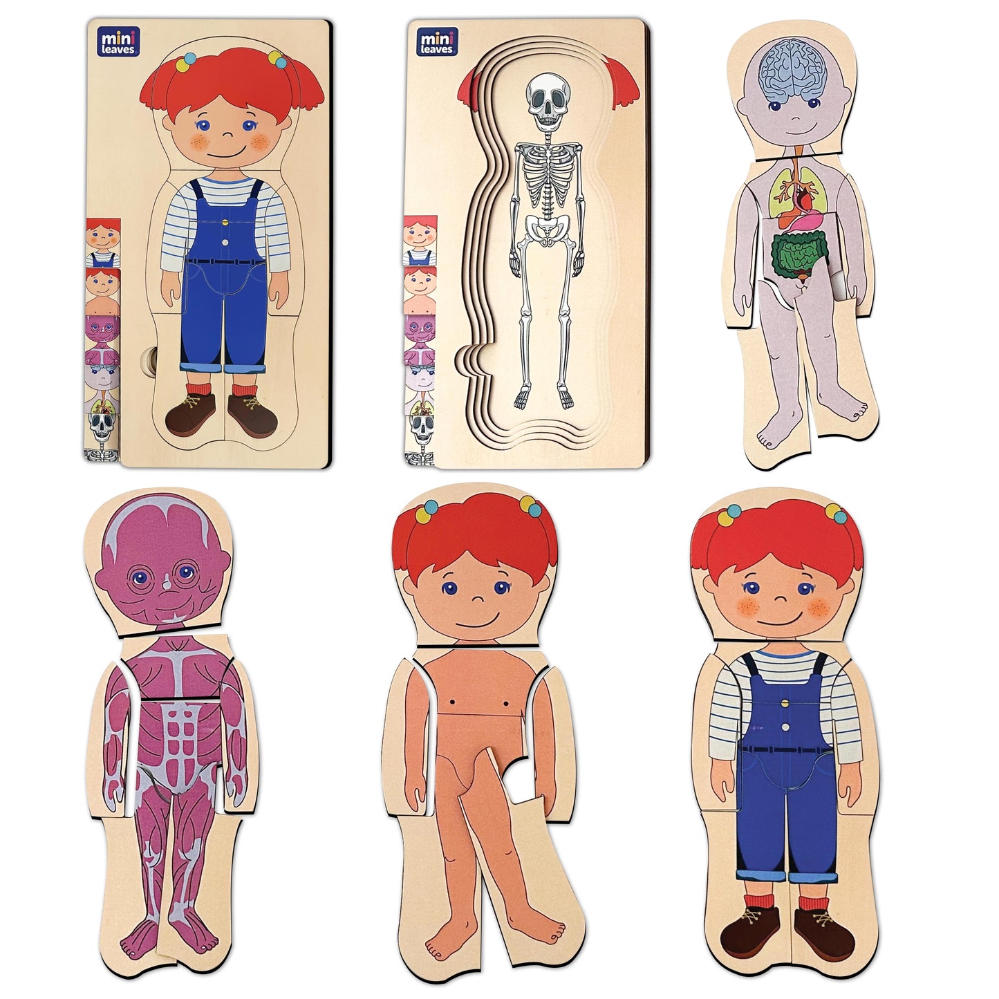 Mini Leaves™ Wooden Human Anatomy 3D Shapes Matching Puzzle – Multilayers Educational Toy for 3+ Years Kids