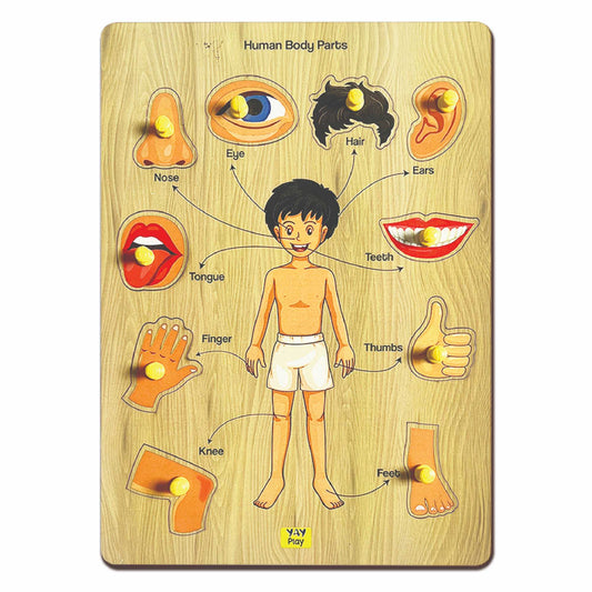 Wooden Human Body Part Knob and Pegged Puzzle for 2+ Years