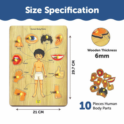 Wooden Human Body Part Knob and Pegged Puzzle for 2+ Years