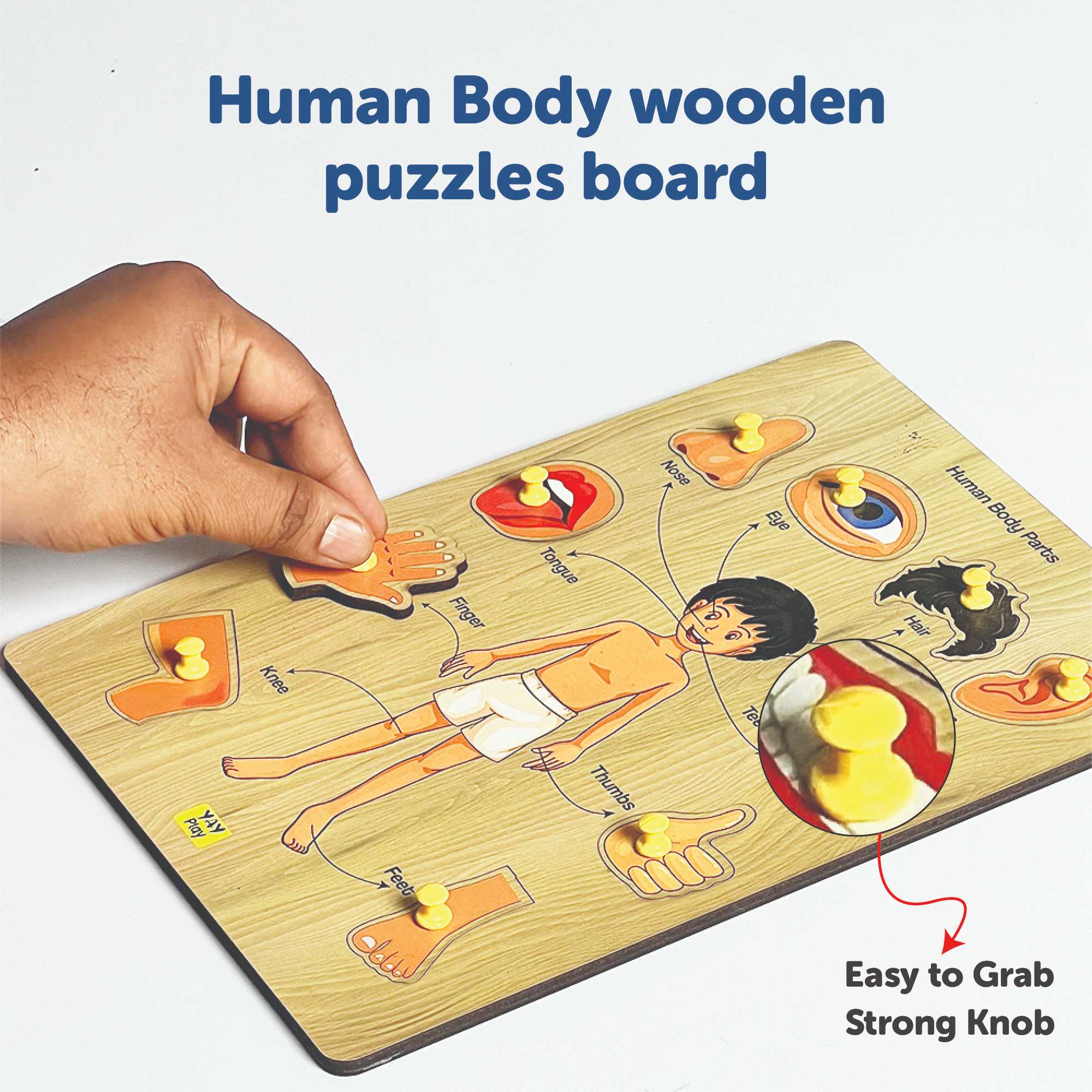 Wooden Body Parts Knob Puzzle